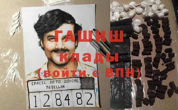 гидра Бородино