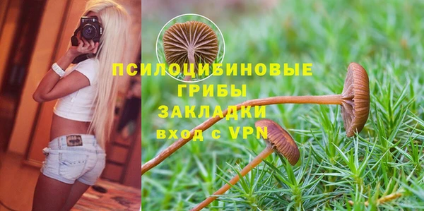 мяу мяу мука Богданович