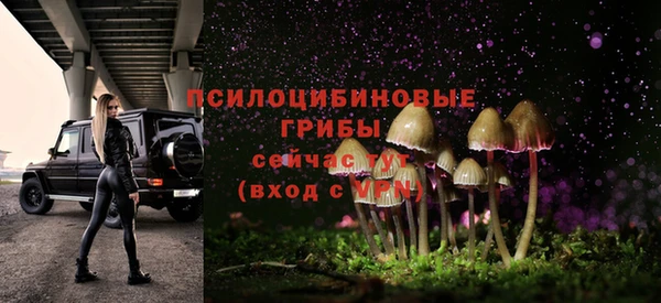 мяу мяу мука Богданович